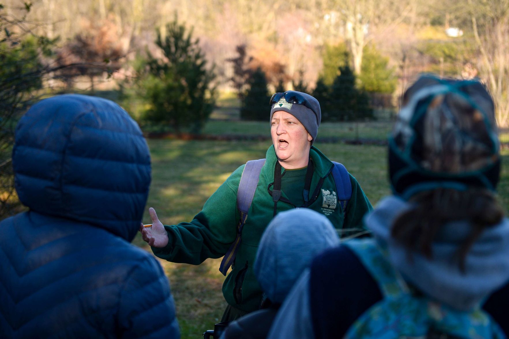 Christmas bird count